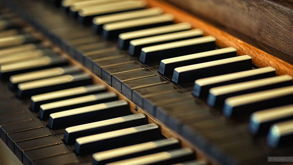 Orgel-Tasten
